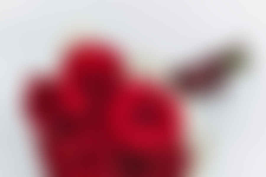 red roses bouquet