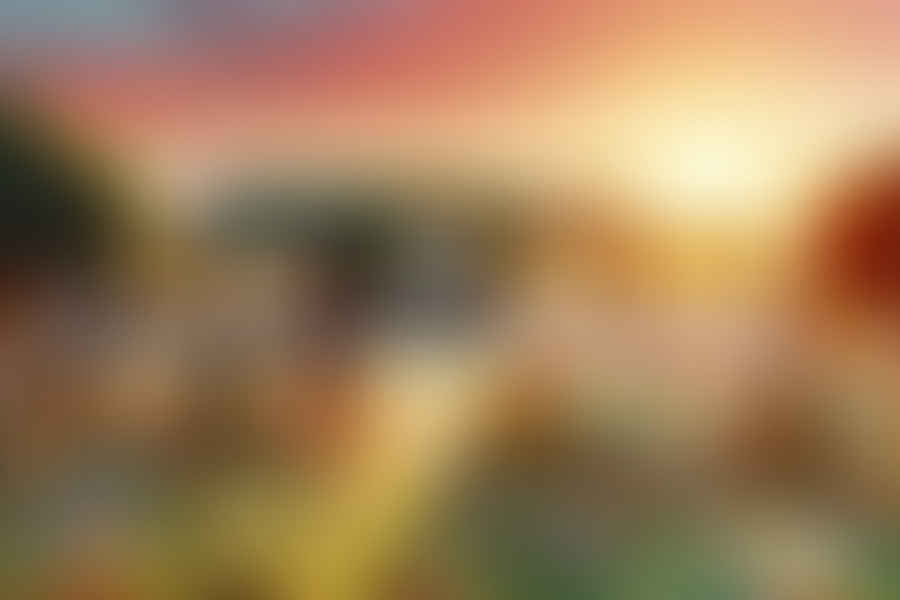 Sunrise Montessori School