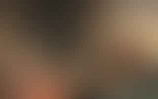 What are common questions asked during an arranged marriage meeting?